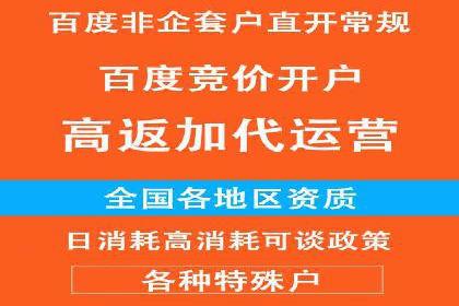 SEM运营公司案例研究：优化广告投放策略